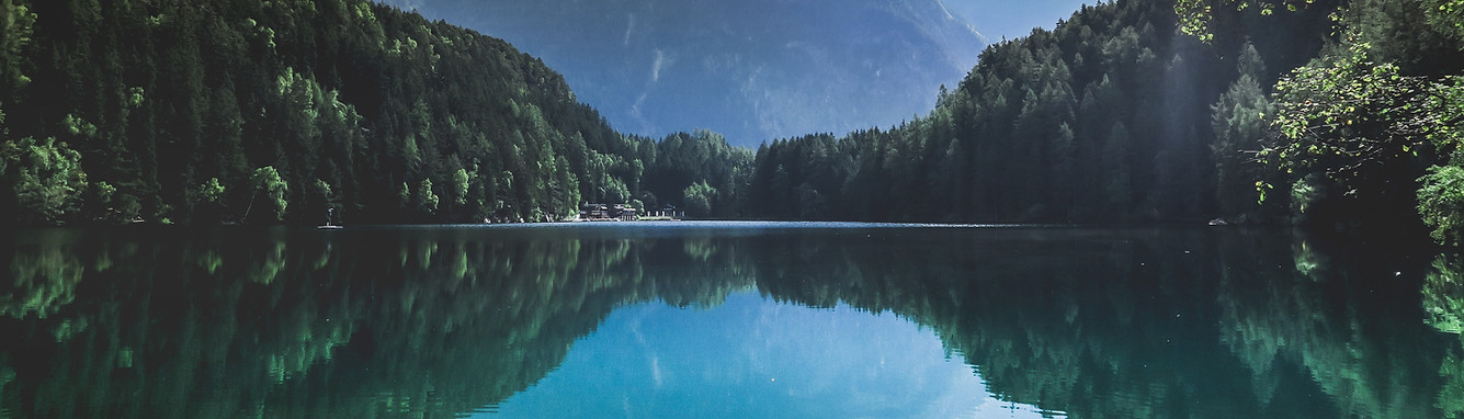 Natura selvaggia