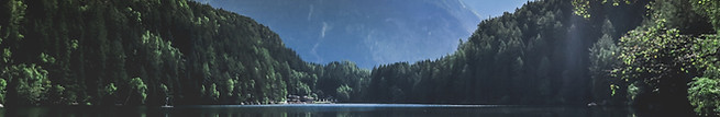 Wild Nature