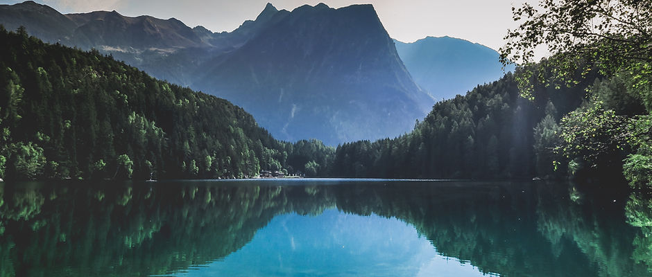 Wild Nature