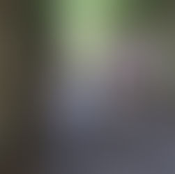 “That’s Inappropriate!” -- Killing the Conversation