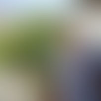 Man in blue blazer smiles while checking phone. He's outdoors with a green, orange-tree background and carrying a brown bag. Bright day.