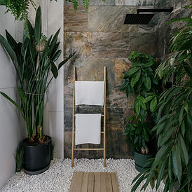 Spa Shower