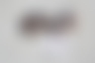 Colonial Beach Town Council Strategic Planning Meeting Overview 1/15/25 – Councilman Williams