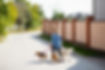 Dog Walker