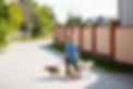Dog Walker