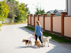 A MMR-velous Birthday Party!