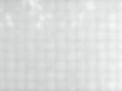 White Tiles