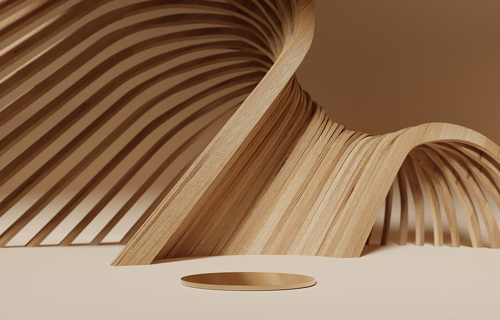Abstract Wooden Sculpture