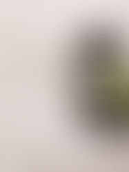 麩醯胺酸 Glutamine