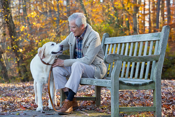 Senior Caucasian man petting dog on park bench