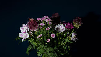 Ask Pilgrim's: HOW DO I MAKE FLOWERS LAST? 
