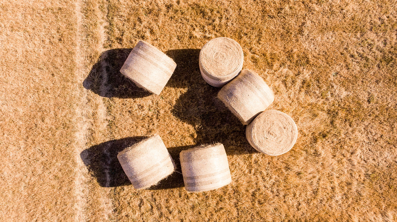 Circular Hay Bales