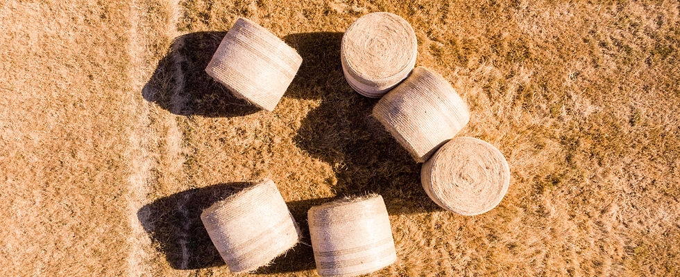 Hay Bales