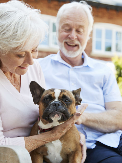 The Unmatched Benefits of Hiring a Full-Time Pet Sitter