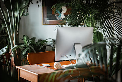 Work Environment