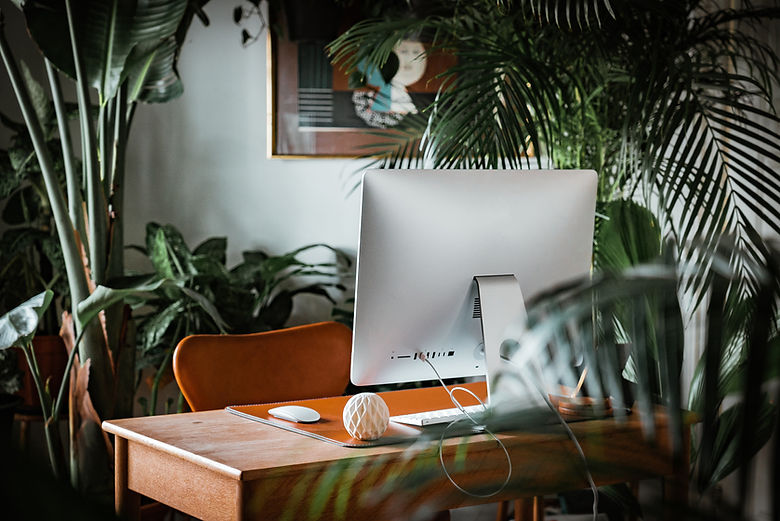 Desk space with computer monitor surrounded by green plants