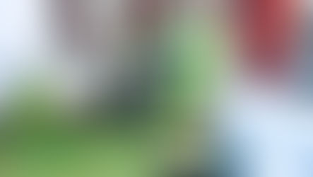 Understanding poverty