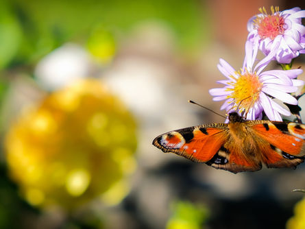 7 Ways to Live a More Fulfilled Life