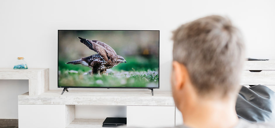 Wildlife Documentary