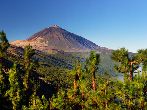 enerife running retreat, Run the Volcano Tenerife, Tenerife trail running holiday, Canary Islands running holiday, Mount Teide running adventure, and Tenerife running tour. Supporting terms like trail running Tenerife, Tenerife marathon experience, volcano running retreat, running retreat Canary Islands, and Tenerife trail running camp help connect with travellers searching for guided running experiences.