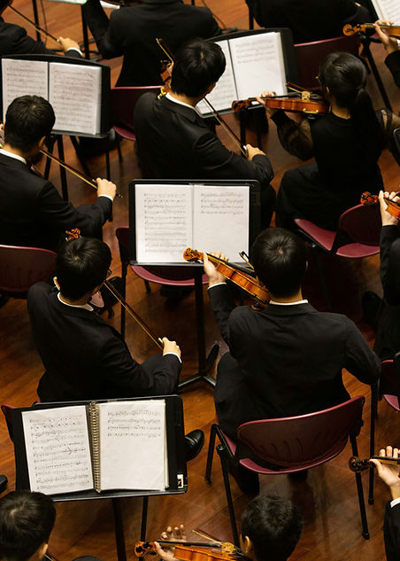 Orchester spielt Musik, wie Körperorchester aus Verstand und Gefühl, Organen, Nervensystem, psychische Immunsystem, die eigene Lebensmelodie hörbar machen
