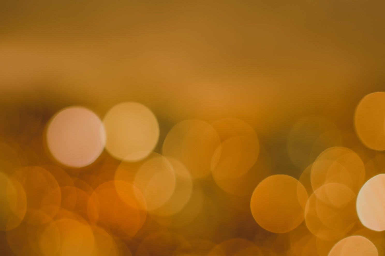 Golden Bokeh Lights