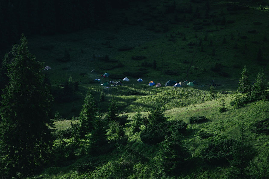 Tents In Forest