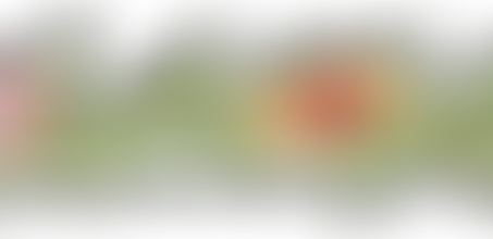 Colora il Tuo Inverno con Emozioni e Creatività, Regala Esperienze!