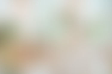 MEET THE EXPERTS: die besten Hochzeitsexperten für deine Hochzeit