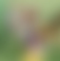 Psychologists are reimagining how society supports children