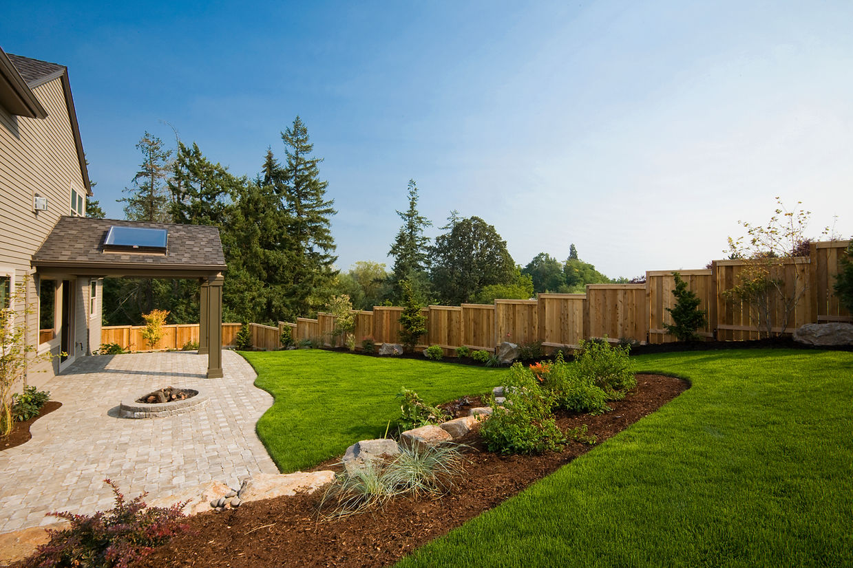 Sunny back yard of suburban home