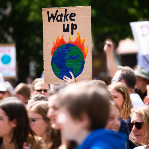 Rejuvenating Our Earth: Celebrating Environment Day 2024