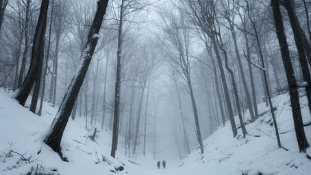 Mid-Winter Health Tips from a Chiropractor