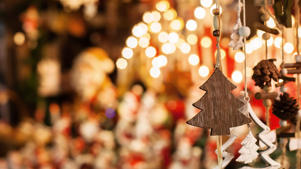 Christmas Tour of Homes