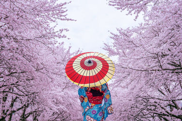 The Balance of Spring: Renewal, Light and Harmony