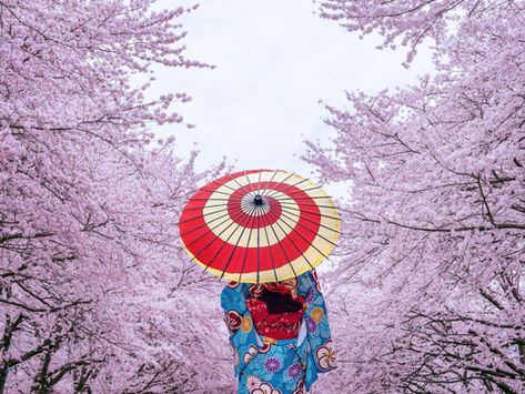 Achtung! Trainings während der Frühlingsferien (05.04. – 21.04.2025)