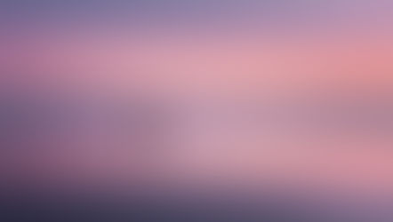 Year Four, In Review.