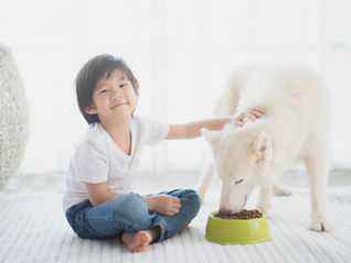 Don't Make These Common Mistakes When a Dog Bites Your Child.