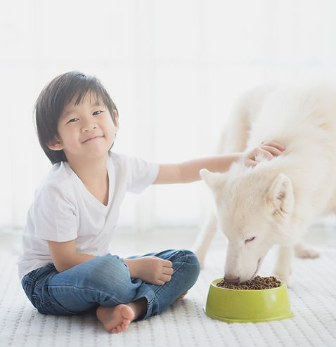 Kid and Dog
