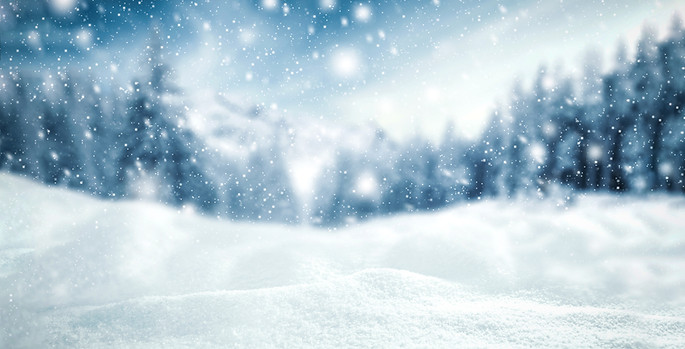 Snowy Winter Landscape