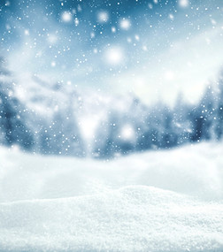 Snowy Winter Landscape