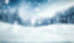 Snowy Winter Landscape