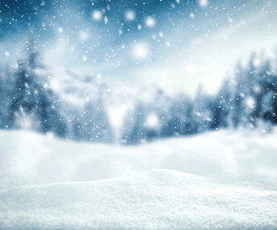 Snowy Winter Landscape