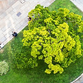 City Garden