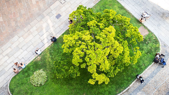 City Garden