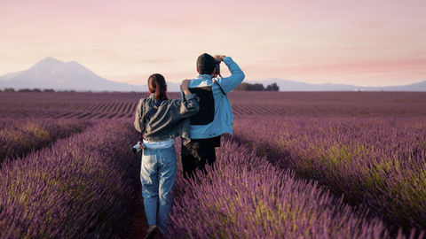Deux personnes marchent dans un champ de lavande au coucher du soleil, l’un prend une photo, montagnes en arrière-plan.