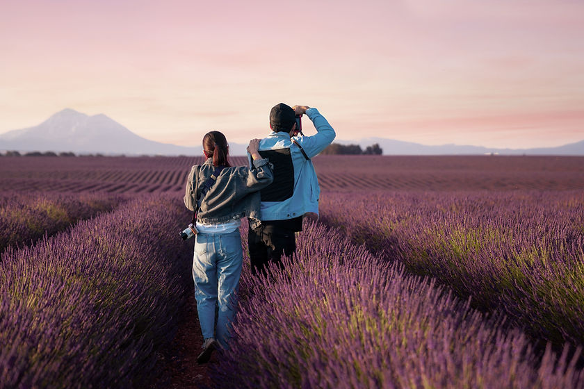 Balade dans un champ de lavande