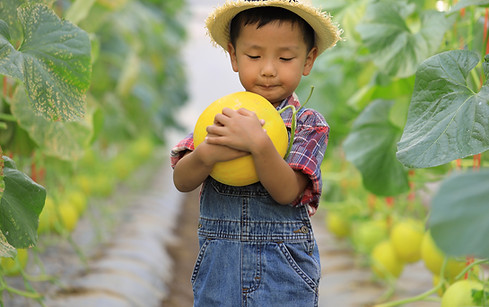 Kid Holding Fruit