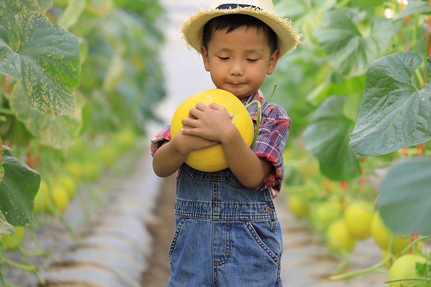 Kid Holding Fruit