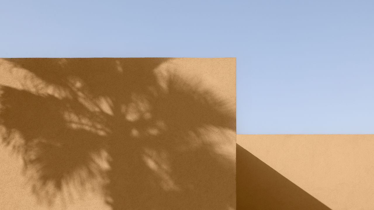 Tree Shadow on Wall